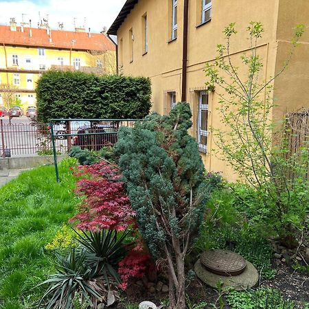 Apartament E-Space Rzeszów Exteriér fotografie
